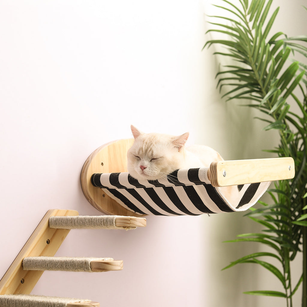 Cat Climbing Frame
