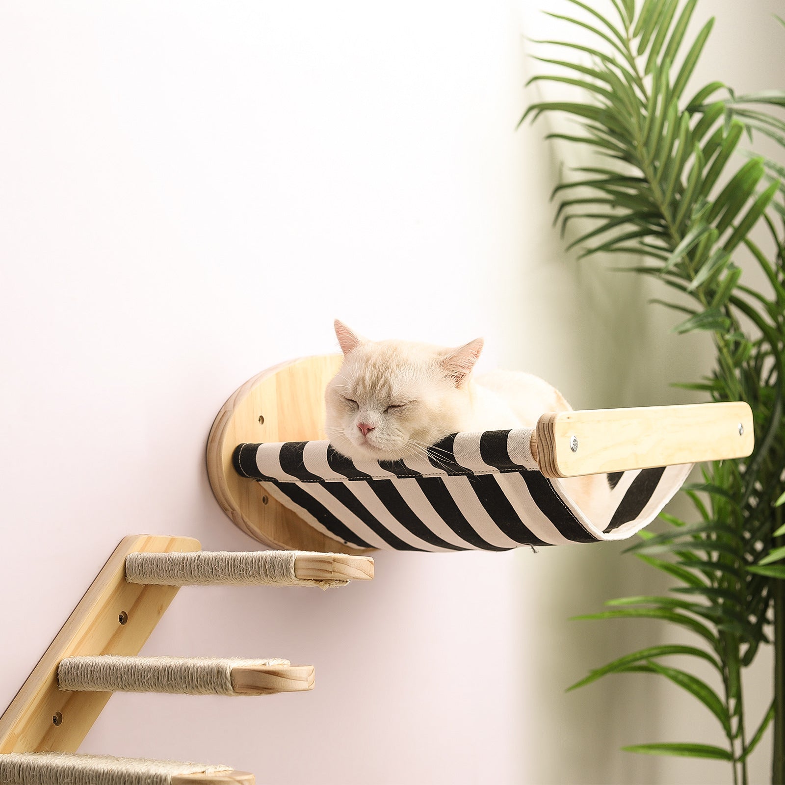 Cat Climbing Frame