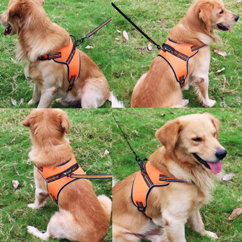 Dog Breathable Harness