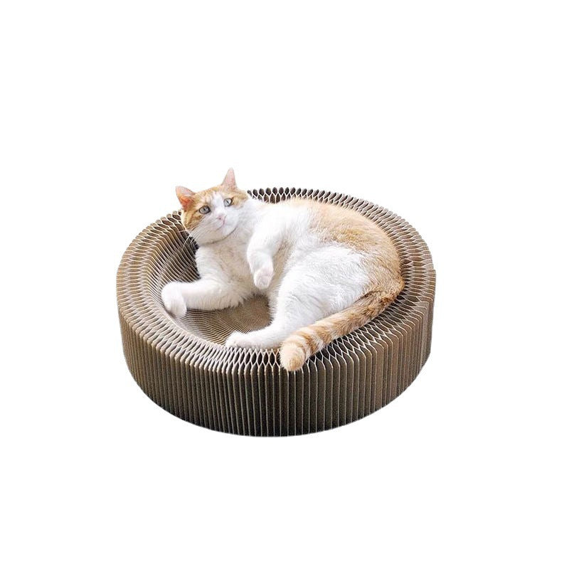 Cat Scratching Board