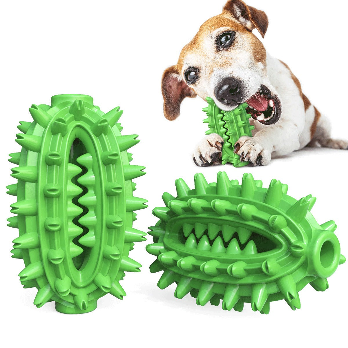 Molar Dog Toys