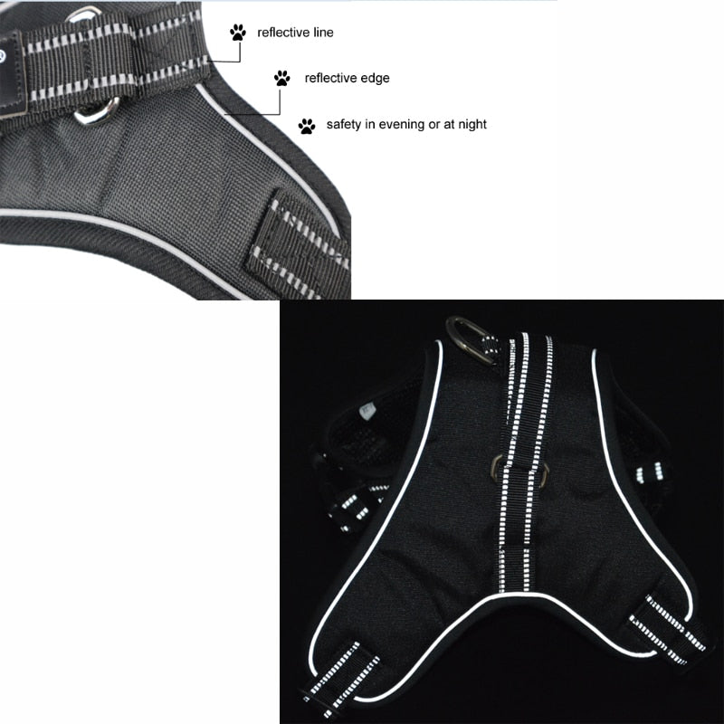 Dog Breathable Harness