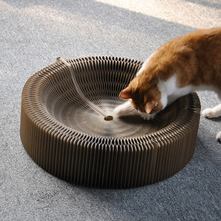 Cat Scratching Board