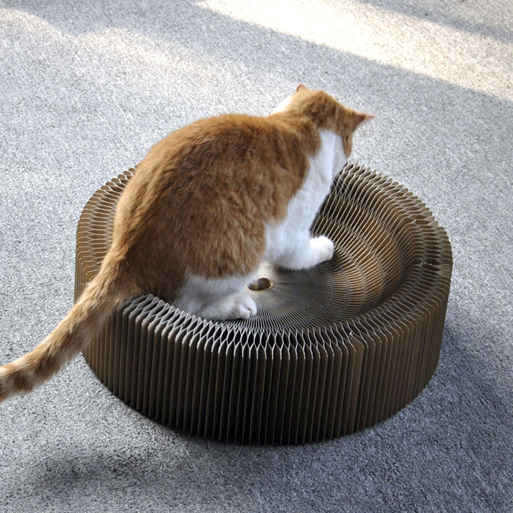 Cat Scratching Board