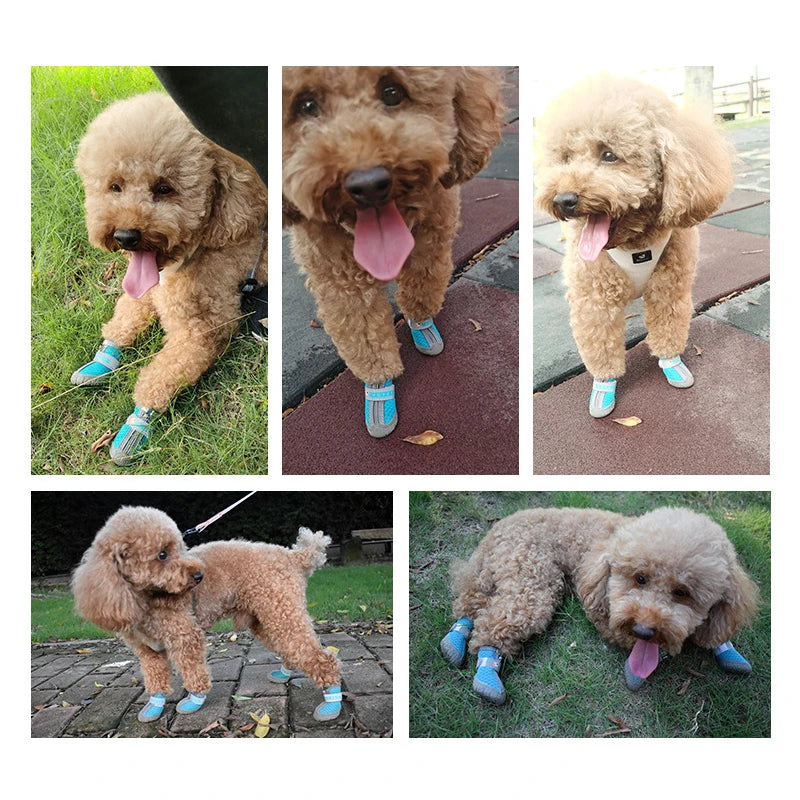 Breathable Dog Shoes