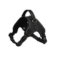 Dog Breathable Harness