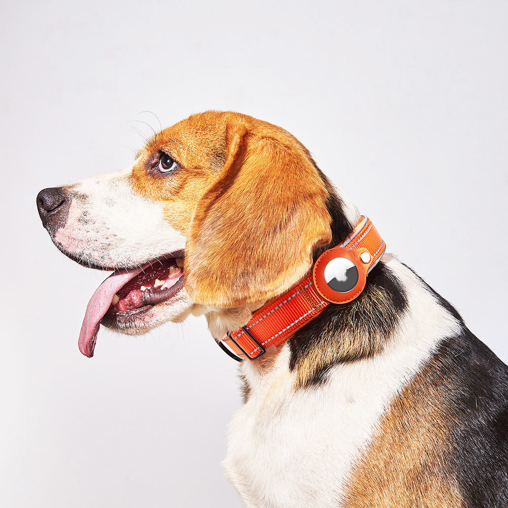 Pet Locator Collar