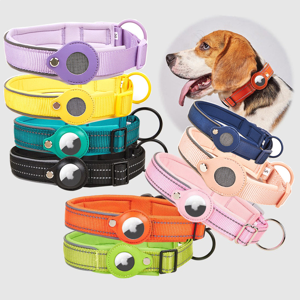 Pet Locator Collar